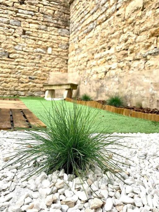 L'Eden, Apt 4 Prs Avec Jardin En Centre Ville Dijon Zewnętrze zdjęcie